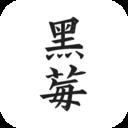 黑莓小说正版