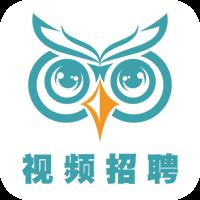 视聘