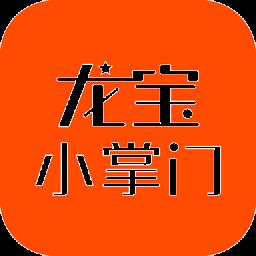 龙宝小掌门