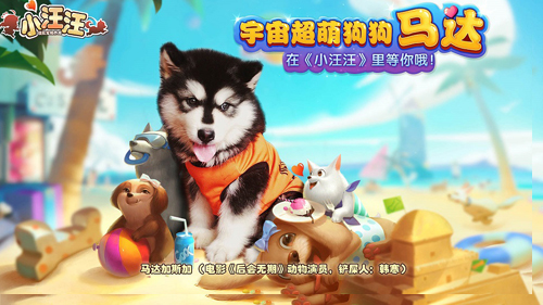 水汪汪