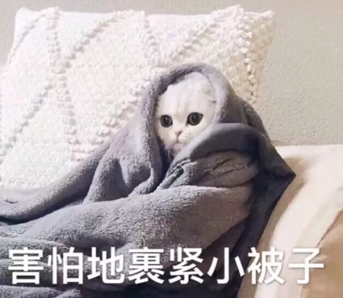 绝对演绎5