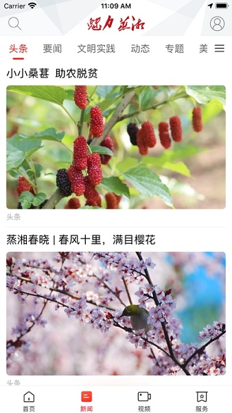 截图1