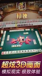 甘肃庆阳滑水麻将截图1
