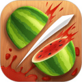 fruit ninja