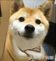 网上关于《绝地求生:刺激战场》中“背包满了”的攻略误区