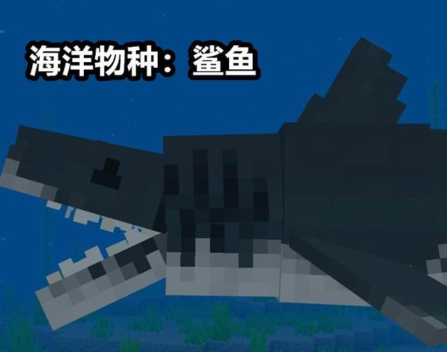 我的世界:1.15票选新生物?玩家:我都替你准备好“投票”了
