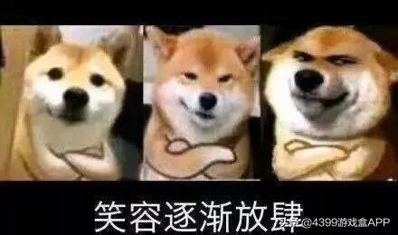 跑跑卡丁车:最好的宠物,最划算的价格,这样做能用一折拿下