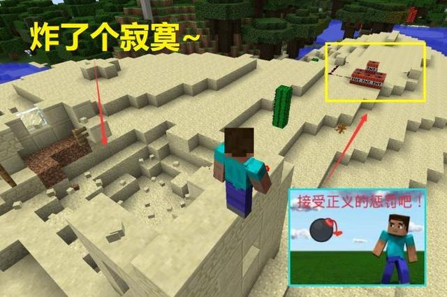 我的世界:萌新最疯狂的5个举动 TNT不算啥 Top1玩家被活埋