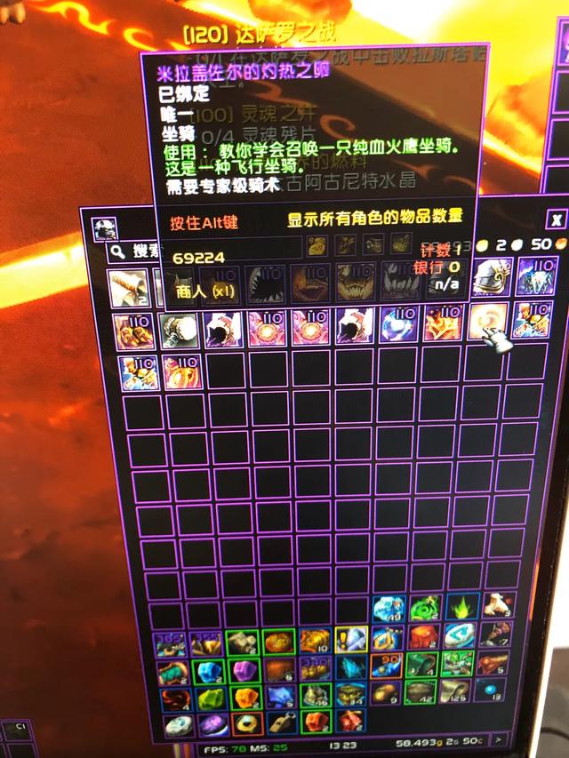 这些年刷到的魔兽世界坐骑(具有代表性的)