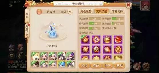 美女队长领衔,四季安然2019完美收官