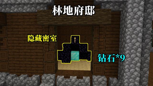 我的世界:试玩“最惨村子”种子,发明真正的主角,仙人掌浮空