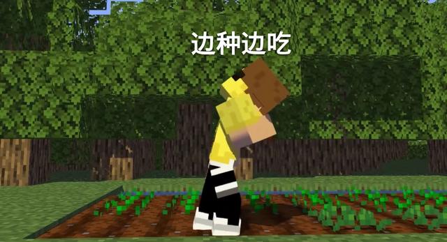 我的世界:过于实在的八个惯性行为,假如你不是卧底,基本都有过