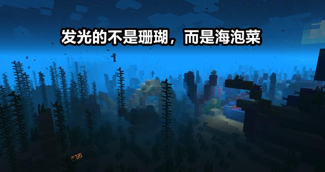 我的世界:海泡菜原型是“火体虫”?mc12个摸不着头脑的冷特性