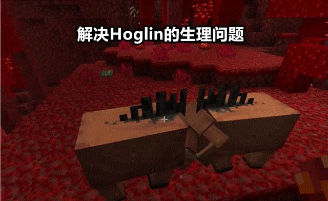 游戏首班车：mc新生物投票开启，考拉和刺猬，你把这票投给谁？