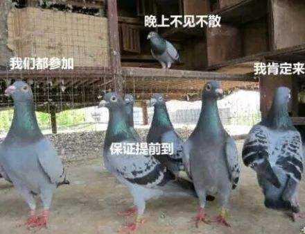 为什么《魔兽世界》怀旧服免费试玩完毕后,排队的人反而更多了?