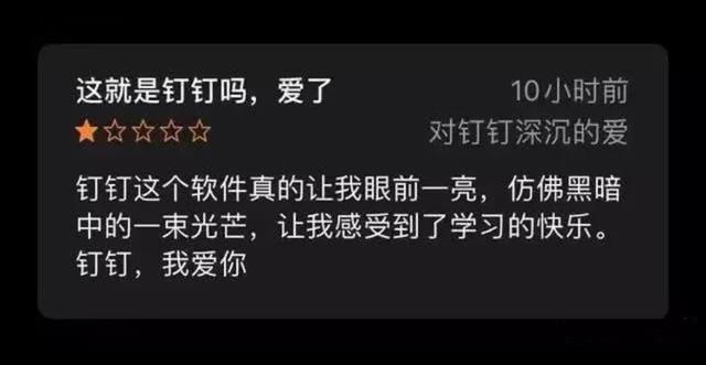 13张图,记载Minecraft在家躲病毒的平常,玩家:快给钉钉差评