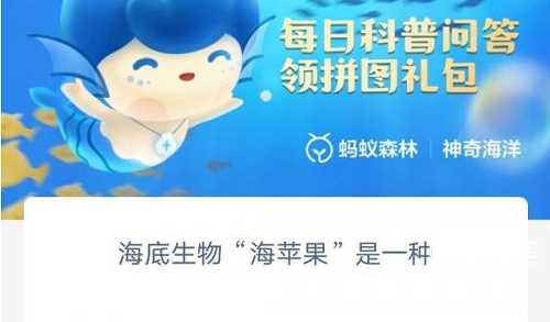 海底生物海苹果是一种是什么