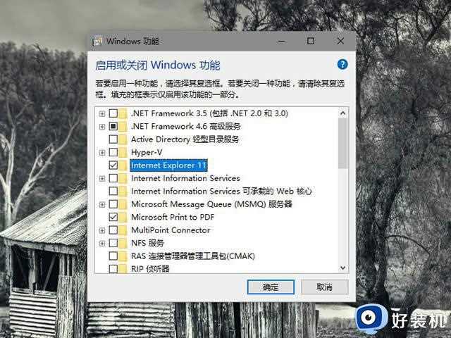 为什么win10有两个edge浏览器_win10有两个edge浏览器如何解决