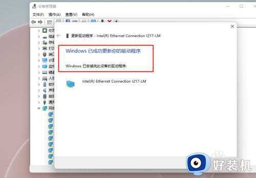 win11系统网卡驱动如何更新_win11更新网卡驱动的方法步骤