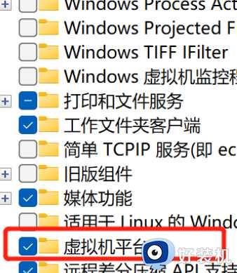 Win11运行VMware蓝屏为什么_win11运行vmware虚拟机蓝屏如何解决