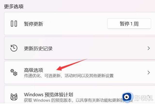 电脑更新win11之后变慢了该怎么优化