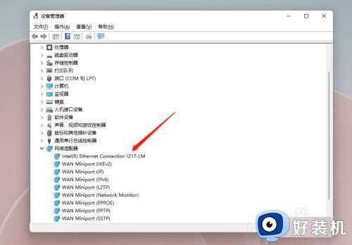 win11系统网卡驱动如何更新_win11更新网卡驱动的方法步骤