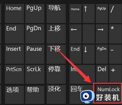 win11键盘打不出字怎么办_windows11键盘打不了字如何解决