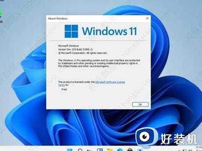 win11右下角通知栏消息如何关闭_win11系统右下角的消息通知关闭步骤