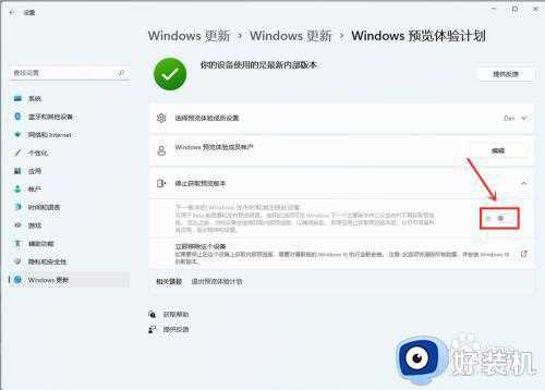 win11预览版可以直接升级正式版吗_win11预览版怎么升级到正式版