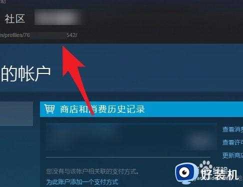 steam游戏id怎么查_如何查找steam游戏id